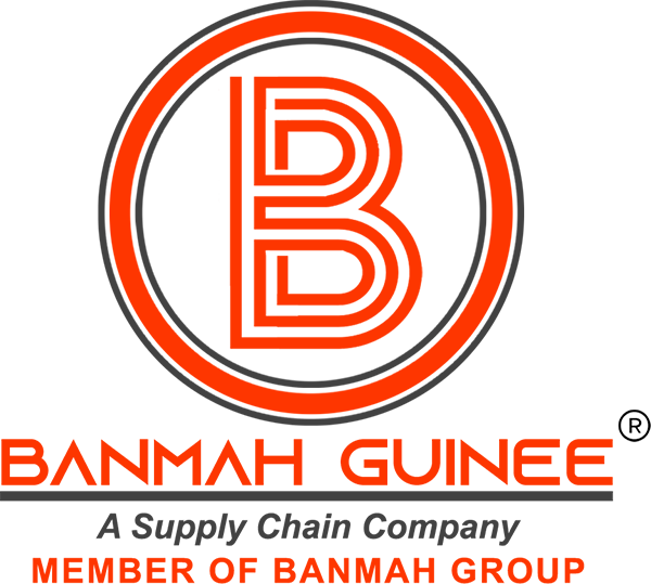 BMG Group, logo